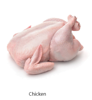 chicken