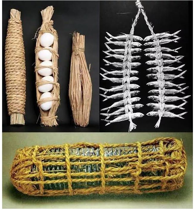 Exploring the Evolution of Food Packaging - A 7-Minute Historical ...